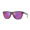 Oakley Frogskins Carbon Fiber Prizm Road