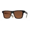 Oliver Peoples Casian Horn Brown