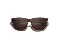 Moken Eyewear Tracks Tortoise Brown Polarized