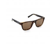 Moken Eyewear Cure Tortoise Brown Polarized