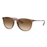 Ray-Ban Erika Classic Dark Rubber Sand Brown Gradient 