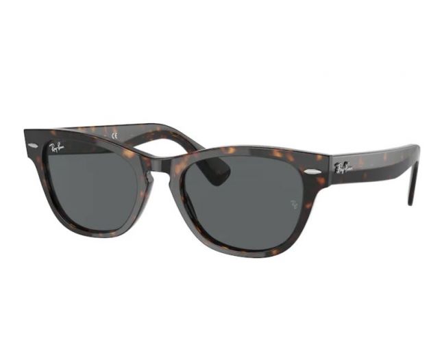 Ray-Ban RB2201 Tortoise Dark Grey