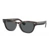 Ray-Ban RB2201 Tortoise Dark Grey