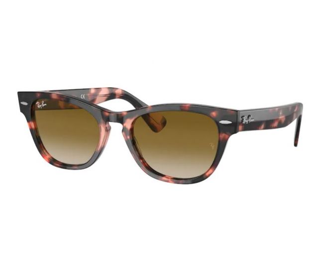 Ray-Ban RB2201 Tortoise Dark Grey