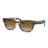 Ray-Ban RB2201 Tortoise Dark Grey