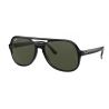 Ray-Ban Powderhorn Black Transparent Black Green