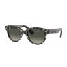 Ray-Ban Orion Gray Havana Grey Gradient Dark Grey