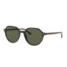 Ray-Ban 2195 Havana Green