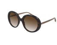 Chloé CH0007S Havana Brown Brown Lenses