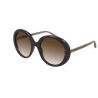 Chloé CH0007S Havana Brown Brown Lenses