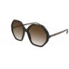 Chloé CH0008S Havana Brown Brown Lenses