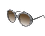 Chloé CH0007S Havana Brown Brown Lenses