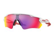 Oakley Radar EV Path Polished white-Prizm road