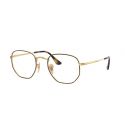 Ray-Ban RX6448Havana On Arista