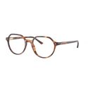 Ray-Ban Thalia Stripped Havana