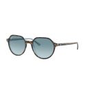 Ray-Ban RB2195 Havana On Light Blue Blue Gradient