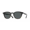 Oliver Peoples Desmon Sun Black 362 Gradient Midnight Express Polar