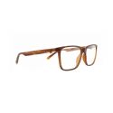 Spect Eyewear Telford Matte Tortoise