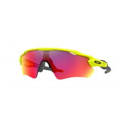 Oakley Radar EV Path Sanctuary Swirl-Prizm Grey