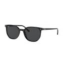 Ray-Ban Elliot Black Crystal Green