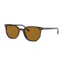 Ray-Ban Elliot Havana Crystal Brown