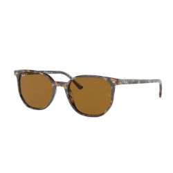 Ray-Ban Elliot Havana Brown Grey Brown Polar