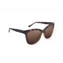 Moken Hepburn Tortoise Brown Polarized