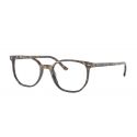 Ray-Ban ElliotRXBrown & Grey Havana