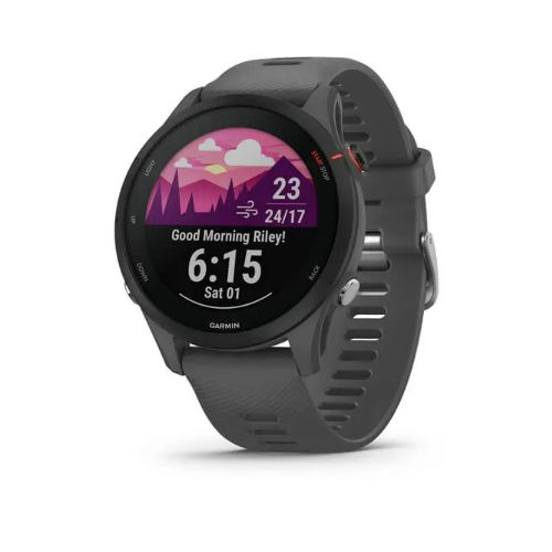 Garmin Forerunner 255 Grise Ardoise