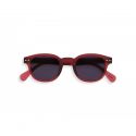 Izipizi Sun Forme C Blue Tortoise