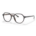 Ray-Ban Thalia Brown & Grey Havana