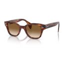 Ray-Ban RB0880S Striped Havana Clear Gradient Brown Lens