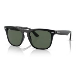 Ray-Ban RB4487 Steve Black Dark Green Lens