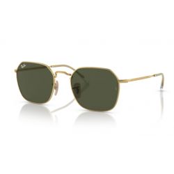 Ray-Ban RB3694 Jim Arista Green Lens