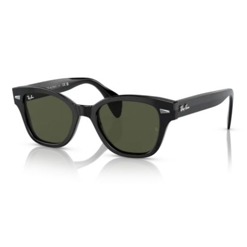 Ray-Ban RB0880S Black Green Lens