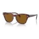 Ray-Ban RB0707S Striped Havana Brown Lens