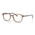 Ray-Ban RX5393 Leonard Transparent Brown