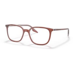 Ray-Ban RX5406 Brown On Transparent