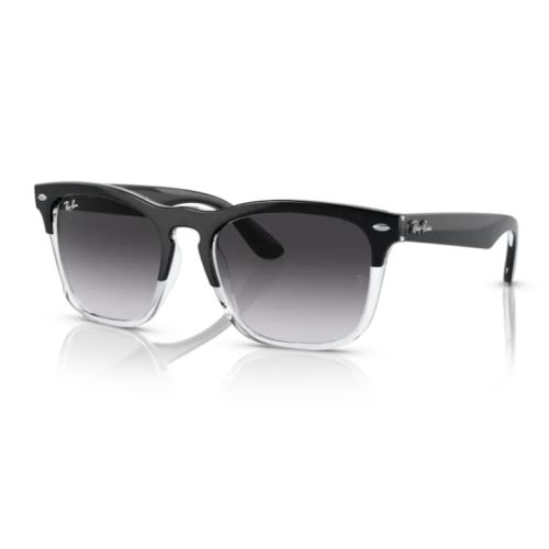 Ray-Ban RB4487 Steve Black Dark Green Lens