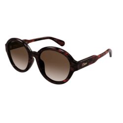 Chloé CH0156SK Havana Brown Lenses