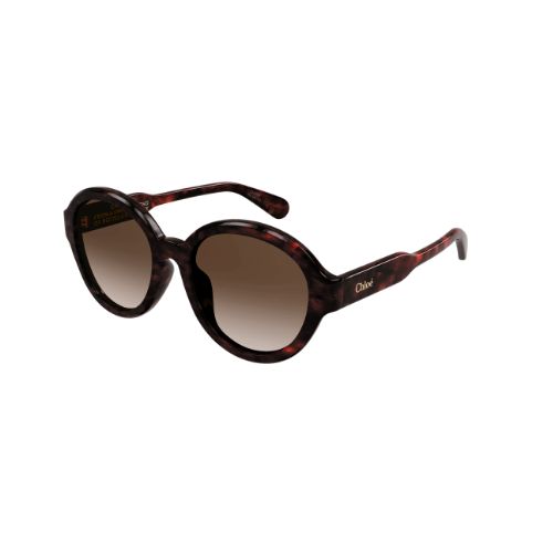 Chloé CH0156SK Havana Brown Lenses