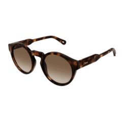 Chloé CH0158S Havana Brown Lenses 