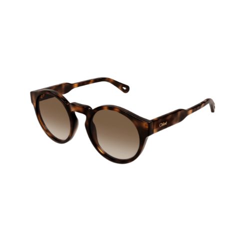 Chloé CH0158S Havana Brown Lenses 