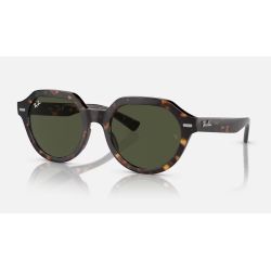 Ray-Ban Gina RB4399 Tortledove Clear Gradient Brown Lens