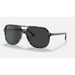 Ray-Ban Bill RB2198 Grey Havana Polar Black 