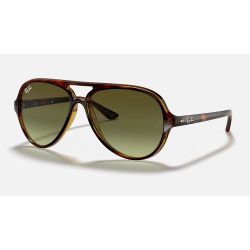 Ray-Ban Cats 5000Havana Green Gradient