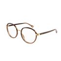 Chloé CH0033O Brown Transparent