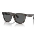 Ray-Ban Wayfarer Reverse Black Dark Green