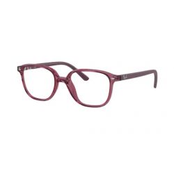 Ray-Ban Leonard JR Transparent Pink