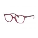 Ray-Ban Leonard JR Transparent Pink